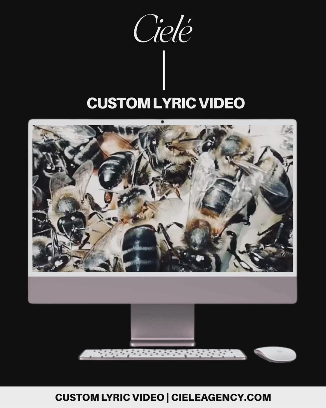 Custom Lyric Video